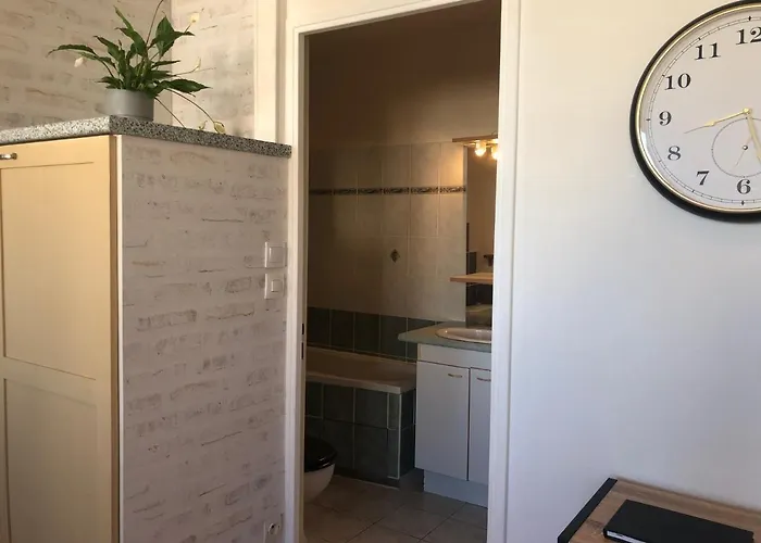 Apartament T2 Lumineux Vue Sur Cher, 8mn Gare & Centre Tours