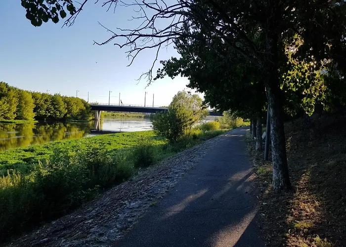 T2 Lumineux Vue Sur Cher, 8mn Gare & Centre